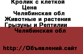 Кролик с клеткой › Цена ­ 2 200 - Челябинская обл. Животные и растения » Грызуны и Рептилии   . Челябинская обл.